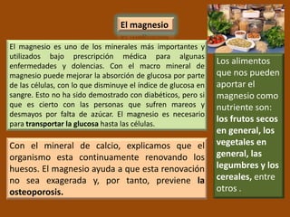 El magnesio

El magnesio es uno de los minerales más importantes y
utilizados bajo prescripción médica para algunas
enfermedades y dolencias. Con el macro mineral de
                                                               Los alimentos
magnesio puede mejorar la absorción de glucosa por parte       que nos pueden
de las células, con lo que disminuye el índice de glucosa en   aportar el
sangre. Esto no ha sido demostrado con diabéticos, pero si     magnesio como
que es cierto con las personas que sufren mareos y             nutriente son:
desmayos por falta de azúcar. El magnesio es necesario
para transportar la glucosa hasta las células.
                                                               los frutos secos
                                                               en general, los
Con el mineral de calcio, explicamos que el                    vegetales en
organismo esta continuamente renovando los                     general, las
huesos. El magnesio ayuda a que esta renovación                legumbres y los
no sea exagerada y, por tanto, previene la                     cereales, entre
osteoporosis.                                                  otros .
 