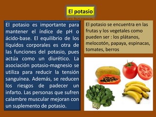 El potasio

El potasio es importante para      El potasio se encuentra en las
mantener el índice de pH o         frutas y los vegetales como
ácido-base. El equilibrio de los   pueden ser : los plátanos,
líquidos corporales es otra de     melocotón, papaya, espinacas,
las funciones del potasio, pues    tomates, berros
actúa como un diurético. La
asociación potasio-magnesio se
utiliza para reducir la tensión
sanguínea. Además, se reducen
los riesgos de padecer un
infarto. Las personas que sufren
calambre muscular mejoran con
un suplemento de potasio.
 