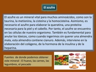 El azufre


El azufre es un mineral vital para muchos aminoácidos, como son la
taurina, la metionina, la cisteína y la homocisteína. Asimismo, es
necesario el azufre para elaborar la queratina, una proteína
necesaria para la piel y el cabello. Por tanto, el azufre se encuentra
en las células de nuestro organismo. También es fundamental para
anular los tóxicos, como cuando ingerimos sin querer una almendra
mala, esta almendra contiene cianuro. Además, interviene en la
elaboración del colágeno, de la hormona de la insulina y de la
heparina.

Fuentes de donde podemos obtener
este mineral : El huevo, las carnes, las
legumbres, el pescado
 