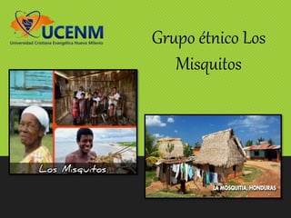 Grupo étnico Los
Misquitos
 