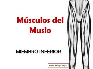 Músculos del
  Muslo

MIEMBRO INFERIOR

           Karen Pelayo Vega
 