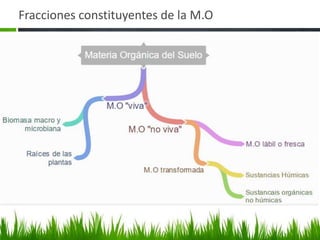 Fracciones constituyentes de la M.O
 