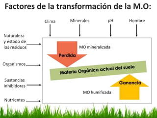 Factores de la transformación de la M.O:
Naturaleza
y estado de
los residuos
Organismos
Clima pHMinerales Hombre
Nutrientes
Sustancias
inhibidoras
 