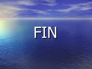 FIN 