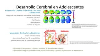 Desarrollo Cerebral en Adolescentes
El desarrollo Cerebral se Extiende a los Años
Adolescentes.
Mayoría de este desarrollo ocurre en el lóbulo frontal.
- Funciones ejecutivas.
- Planificación.
- Razonamiento.
- Control de impulsos.
Maduración Cerebral en Adolescentes
Mejora función cerebral
- Aumenta la eficacia local de computabilizar
- Aumenta la velocidad de transmisión neuronal
- Dorsolateral: Pensamiento a futuro e inhibición de la respuesta a impulsos
- Ventromedial: Regulación de emociones, balanceando riesgo y premios. Aprendiendo de la experiencia
 