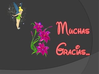 Presentación modelo social (2)