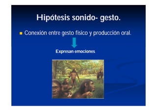 Hipótesis sonido- gesto.
                   sonido-
   Conexión entre gesto físico y producción oral.


                 Expresan emociones.
 