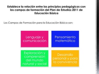 Establece la relación entre los principios pedagógicos con
los campos de formación del Plan de Estudios 2011 de
Educación Básica
Los Campos de Formación para la Educación Básica son:
Lenguaje y
comunicación
Pensamiento
matemático
Exploración y
comprensión
del mundo
natural y social
Desarrollo
personal y para
la convivencia
 
