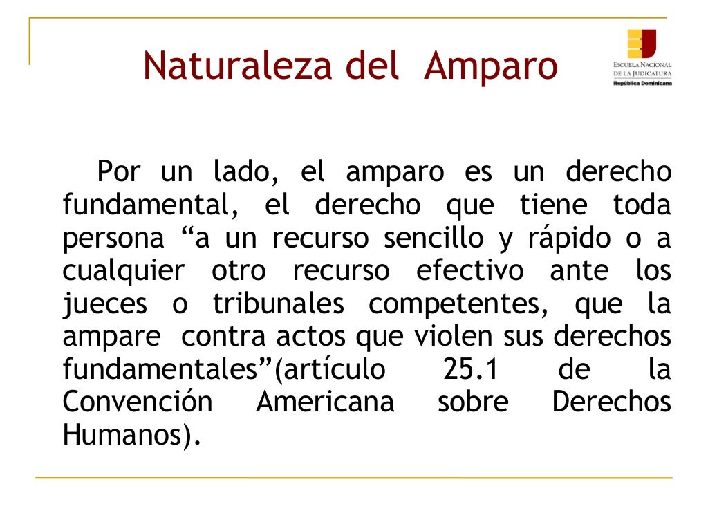 Para Que Sirve Un Amparo | ¿Qué es un amparo y para qué sirve? – RNZZUH