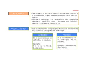 Presentación morfología