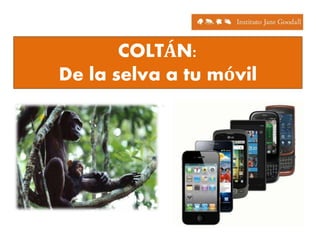 COLTÁN:
De la selva a tu móvil
 