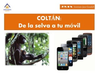 COLTÁN: 
De la selva a tu móvil 
 