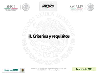 III. Criterios y requisitos




                              Febrero de 2013
 