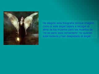 He elegido esta fotografía porque imagino como si este ángel bajara a recoger el alma de los muertos pero los muertos de “no es serio este cementerio” no quieren subir todavía y han despistado al ángel. 