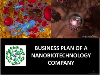 BUSINESS PLAN OF A
NANOBIOTECHNOLOGY
     COMPANY
                      1
 