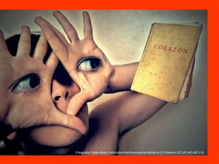 Fotografía: Felipe Morin. Attribution-NonCommercial-NoDerivs 2.0 Generic (CC BY-NC-ND 2.0) 
 