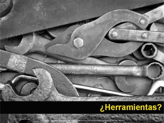 Fotografía: Natasha Wheatland. Attribution-NonCommercial-NoDerivs 2.0 Generic (CC BY-NC-ND 2.0) 
 