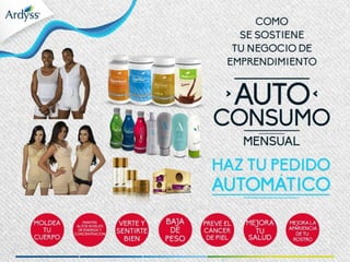 Presentación multinegocio 2015 