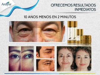 Presentación multinegocio 2015 