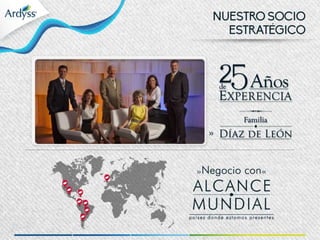Presentación multinegocio 2015 