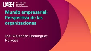 Mundo empresarial:
Perspectiva de las
organizaciones
Joel Alejandro Domínguez
Narváez
 
