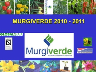 MURGIVERDE 2010 - 2011
 