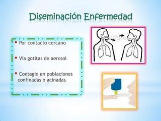 Diseminación Enfermedad
 Por contacto cercano
 Vía gotitas de aerosol

 Contagio en poblaciones
confinadas o acinadas

 