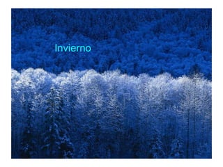     Invierno 