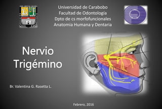 Universidad de Carabobo
Facultad de Odontología
Dpto de cs morfofuncionales
Anatomia Humana y Dentaria
Br. Valentina G. Rasetta L.
Febrero, 2016
 