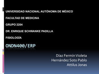 UNIVERSIDAD NACIONAL AUTÓNOMA DE MÉXICOFACULTAD DE MEDICINAGRUPO 2204DR. ENRIQUE SCHWANKE PADILLAFISIOLOGÍA OndN400/erp Díaz Fermín Violeta Hernández Soto Pablo AttilusJonas 