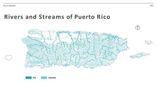 2022
Dams of Puerto Rico
Para la Naturaleza
 