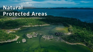 2022
Natural Protected Areas
Para la Naturaleza
 
