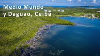 Antiguo Acueducto del
Río Piedras, San Juan
 