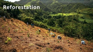 Community
Conservation
 