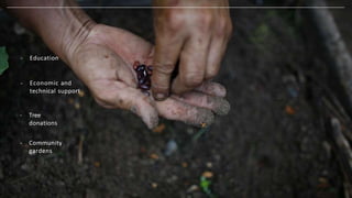 539 trees
planted in 27
school
communities
1,000 home
gardens during
the pandemic
 
