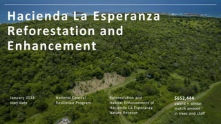 Meeting Objectives
47,247
native trees
planted of
50,188
target goal
94%
completion
60
acres of land
impacted
 