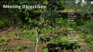 Long-term
Conservation Impacts
- Birds as indicators
of habitat
regeneration and
quality
- Sound recorders in
forest fragm...