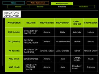 Water Water Metabolism Methodologies INDICATORS DEVELOPED Internal External Indicators Institutions Artichoke Strawberry, tomato Jan Almera MONETARY PRODUCT WATER MWP (/m3) Peach Orange, tomato Jan Almera DOMESTIC USE AWU (Hm3) Almond, Cherry Carrot Jan, Granada Almera , Cdiz INTENSITY OF LAND USE PY (ton/ Ha) Almond Lettuce No determinado Almera PHYSICAL PRODUCTIVITY WY (ton/m3) Lettuce Artichoke Cdiz Almera INTENSITY OF WATER USE CWR (m3/Ha) CROP LOWER CROP HIGHER PROV LOWER PROV HIGHER MEANING PRODUCTION 