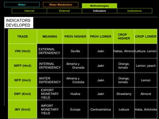 Water Water Metabolism Methodologies INDICATORS DEVELOPED Internal External Indicators Institutions Haba, Artichoke Lettuce Centroamrica Europe IMPORT MONETARY YIELD IMY (/m3) Almond Strawberry Jan Huelva EXPORT MONETARY YIELD EMY (/m3) Lemon Orange, tomato Jan Almera y Crdoba WATER DEPENDENCY WFP (Hm3) Lemon, peach Orange, tomato Jan Almera y Granada INTERNAL DEPENDENCY IWFP (Hm3) Lettuce, Lemon Habas, Almond Jan Sevilla EXTERNAL DEPENDENCY  VWI (Hm3) CROP LOWER CROP HIGHER PROV LOWER PROV HIGHER MEANING TRADE 