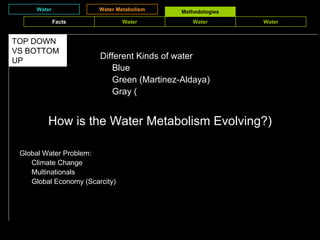 Different Kinds of water  Blue Green (Martinez-Aldaya) Gray ( Water Water Metabolism Methodologies How is the Water Metabolism Evolving?) TOP DOWN VS BOTTOM UP Global Water Problem: Climate Change Multinationals Global Economy (Scarcity) Facts Water Water Water 