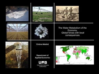 The Water Metabolism of the Economy.  Global forces with local consequences Cristina Madrid Department of Applied Economics 