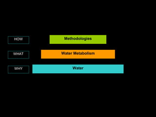 Water Water Metabolism Methodologies WHY HOW WHAT 