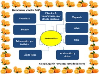 Darío Suarez y Sabina Patiño
Colegio Agustín Fernández Jornada Nocturna
Vitamina A,
transformadas por
el beta-caroteno..
Magnesio
Ácido málico y
cítrico:
Ácido oxálico y el
tartárico
Vitamina C
Fibra
BIOMOLECULAS
Ácido fólico
Agua
Potasio
 