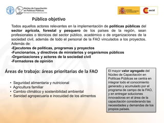 Todos aquellos actores relevantes en la implementación de políticas públicas del
sector agrícola, forestal y pesquero de los países de la región, sean
profesionales o técnicos del sector público, académico o de organizaciones de la
sociedad civil, además de todo el personal de la FAO vinculados a los proyectos.
Además de:
-Ejecutores de políticas, programas y proyectos
-Funcionarios, y directivos de ministerios y organismos públicos
-Organizaciones y actores de la sociedad civil
-Formadores de opinión
Público objetivo
Áreas de trabajo: áreas prioritarias de la FAO
• Seguridad alimentaria y nutricional
• Agricultura familiar
• Cambio climático y sostenibilidad ambiental
• Sanidad agropecuaria e inocuidad de los alimentos
El mayor valor agregado del
Núcleo de Capacitación en
Políticas Públicas se centra en
integrar todo el conocimiento
generado y acumulado por el
programa de campo de la FAO,
y en entregar soluciones
innovadoras en el área de la
capacitación considerando las
necesidades y demandas de los
propios países.
 