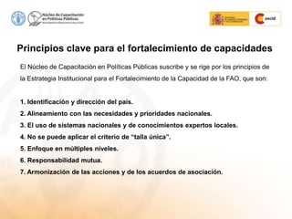 Principios clave para el fortalecimiento de capacidades
El Núcleo de Capacitación en Políticas Públicas suscribe y se rige por los principios de
la Estrategia Institucional para el Fortalecimiento de la Capacidad de la FAO, que son:


1. Identificación y dirección del país.
2. Alineamiento con las necesidades y prioridades nacionales.
3. El uso de sistemas nacionales y de conocimientos expertos locales.
4. No se puede aplicar el criterio de “talla única”.
5. Enfoque en múltiples niveles.
6. Responsabilidad mutua.
7. Armonización de las acciones y de los acuerdos de asociación.
 