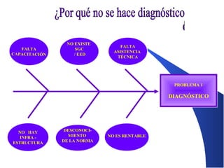 FALTA
CAPACITACIÓN

NO EXISTE
SGC
/ EED

FALTA
ASISTENCIA
TÉCNICA

PROBLEMA 1

DIAGNÓSTICO

NO HAY
INFRA ESTRUCTURA

DESCONOCIMIENTO
DE LA NORMA

NO ES RENTABLE

 