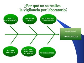 FALTA
CAPACITACIÓN

NO QUEDA
TIEMPO

NO SE REPORTA
INFORMACIÓN

PROBLEMA 2

VIGILANCIA

NO HAY
RECURSOS

DESCONOCIMIENTO DE
LA NORMA

NO ES RENTABLE

 