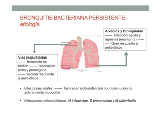BRONQUITIS BACTERIANAPERSISTENTE -
etiología
• Infecciones virales ------- favorecen sobreinfección por disminución de
aclaramiento mucociliar
• Infecciones polimicrobianas: H influenzae, S pneumoniae y M catarrhallis
Alveolos y bronquiolos
------ Infección aguda y
agresiva (neumonía) -----
--- Gran respuesta a
antibióticos
Vias respiratorias
------ formación de
biofilm ------ replicación
lenta y prolongada
------ escasa respuesta
a antibióticos
 