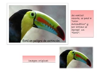 Se realizó
recorte, se pasó a
“color
automático” y
por último se
agregó un
“texto”.
imagen original