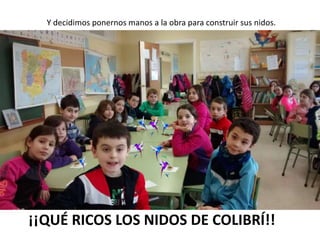 ¡¡QUÉ RICOS LOS NIDOS DE COLIBRÍ!!
Y decidimos ponernos manos a la obra para construir sus nidos.
 
